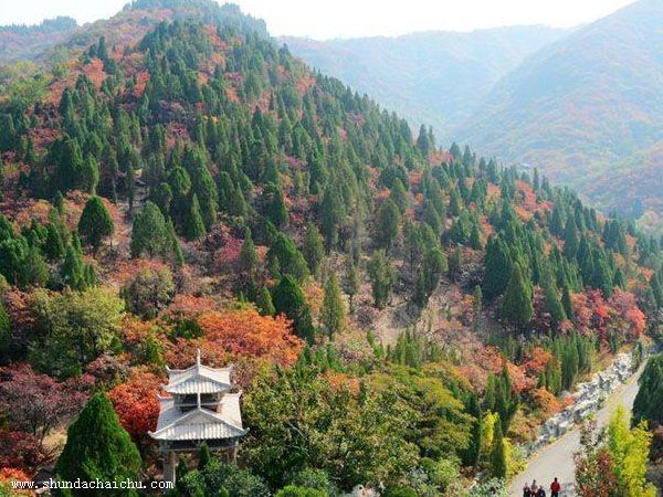 太仓苏州拆除公司